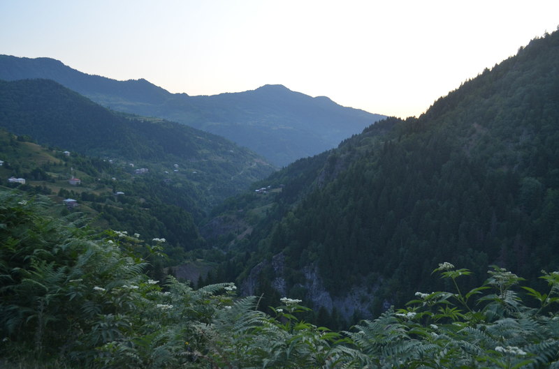 DSC_0206.JPG