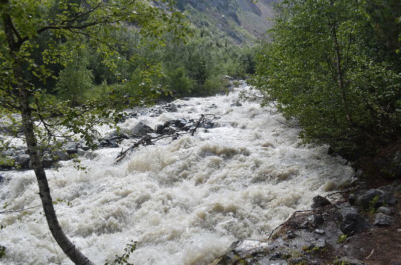 DSC_0230.JPG