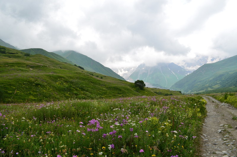 DSC_0303.JPG