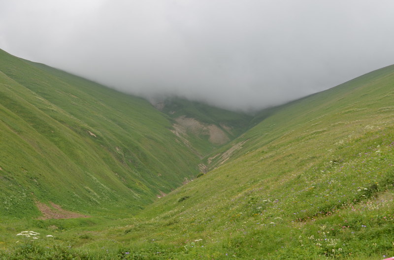 DSC_0342.JPG