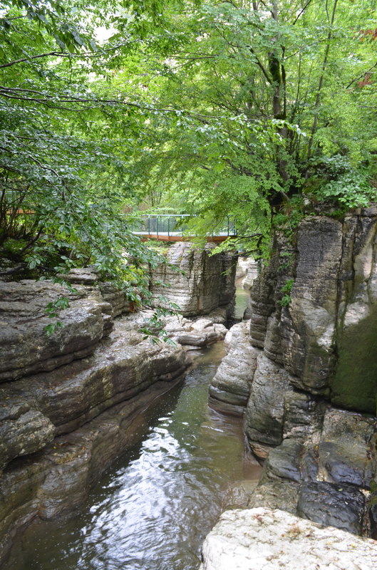 DSC_0359.JPG