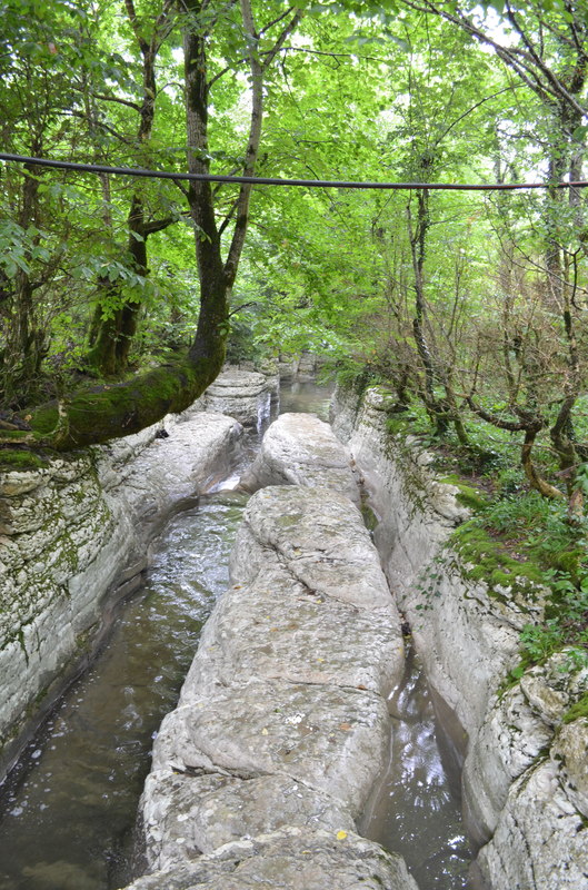 DSC_0366.JPG