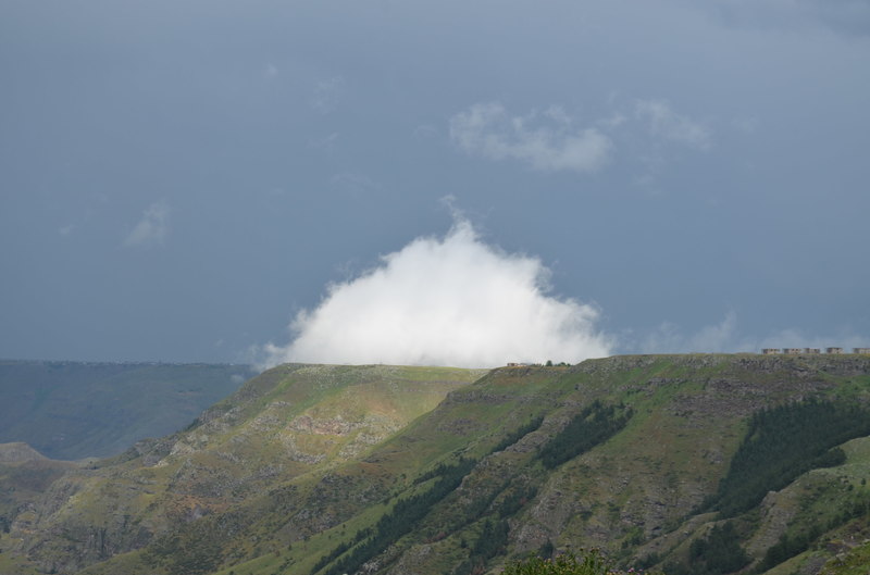 DSC_0504.JPG