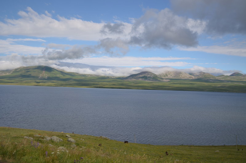 DSC_0534.JPG