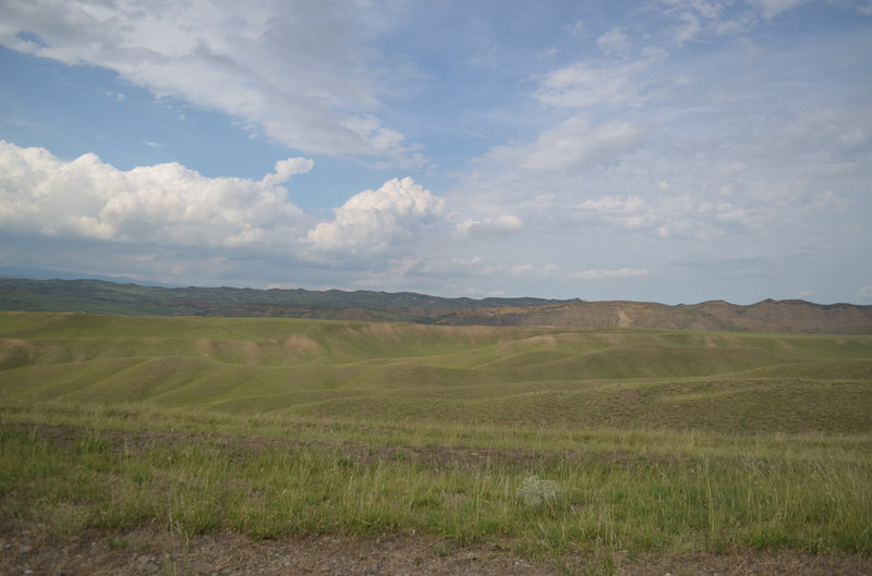 DSC_0545.JPG