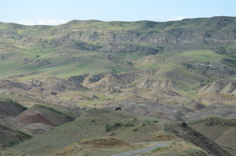 DSC_0562.JPG