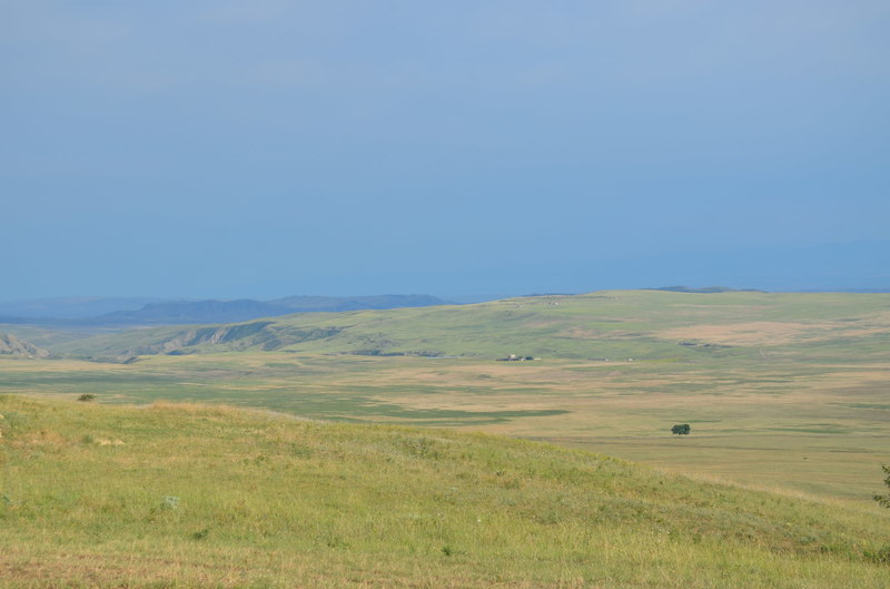 DSC_0569.JPG