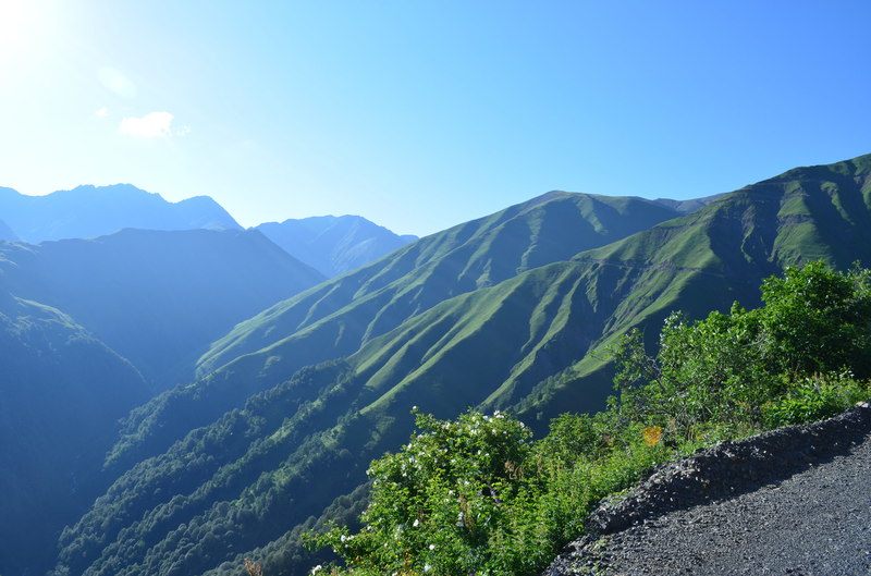 DSC_0632.JPG