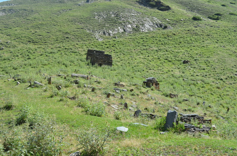 DSC_0669.JPG