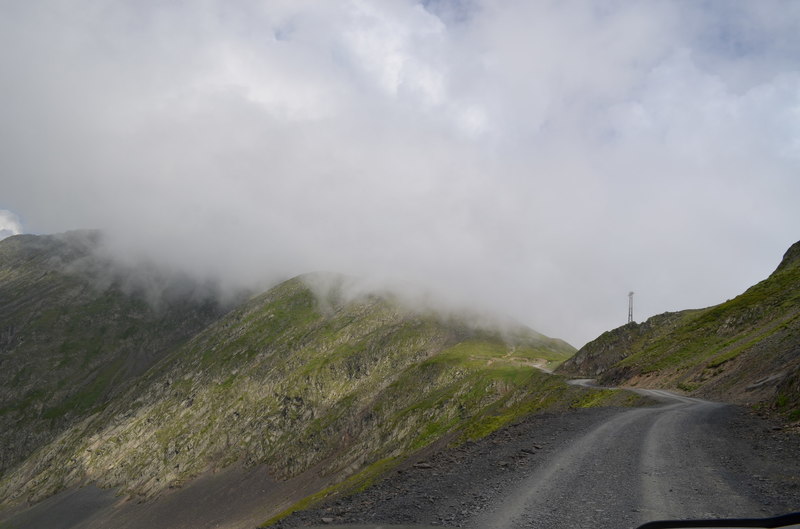 DSC_0699.JPG