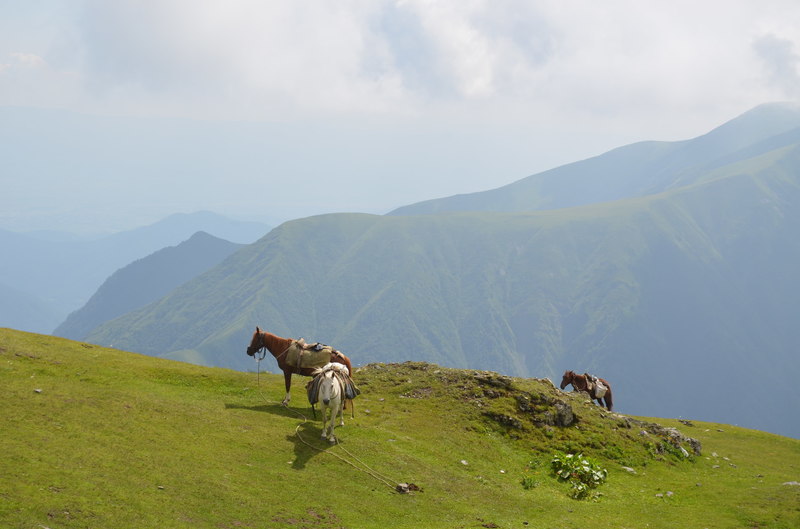 DSC_0705.JPG