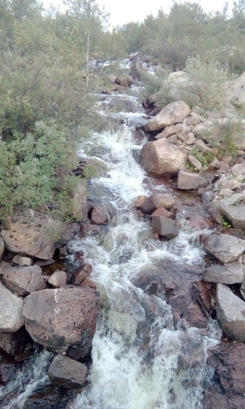 IMG-20180828-WA0005.thumb.jpg.cd5c40713002bc706ccdefdbd4a24a9b.jpg