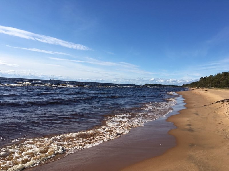IMG-20180919-WA0001.jpg