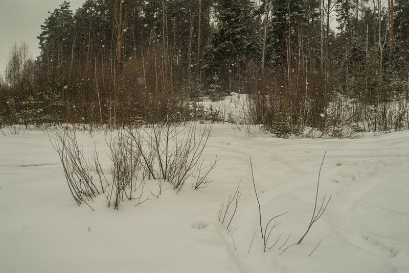 Z14_8834.thumb.jpg.b2b04caa5c8a8db241c5bc3e0d3c53ef.jpg