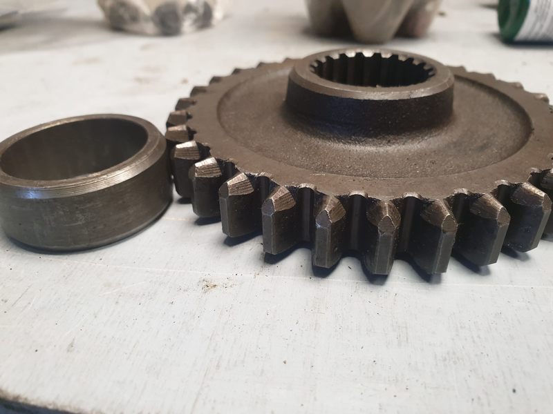 20190310_164409.jpg