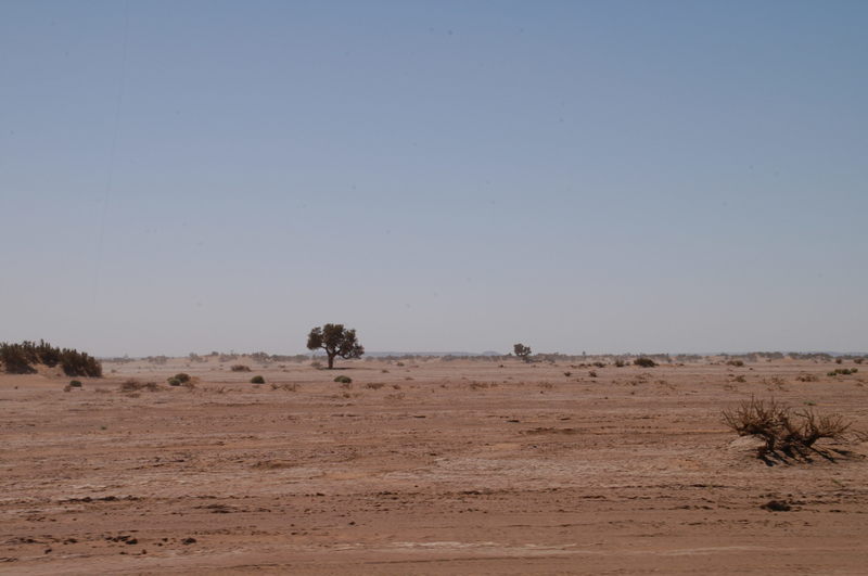 DSC_0065.JPG