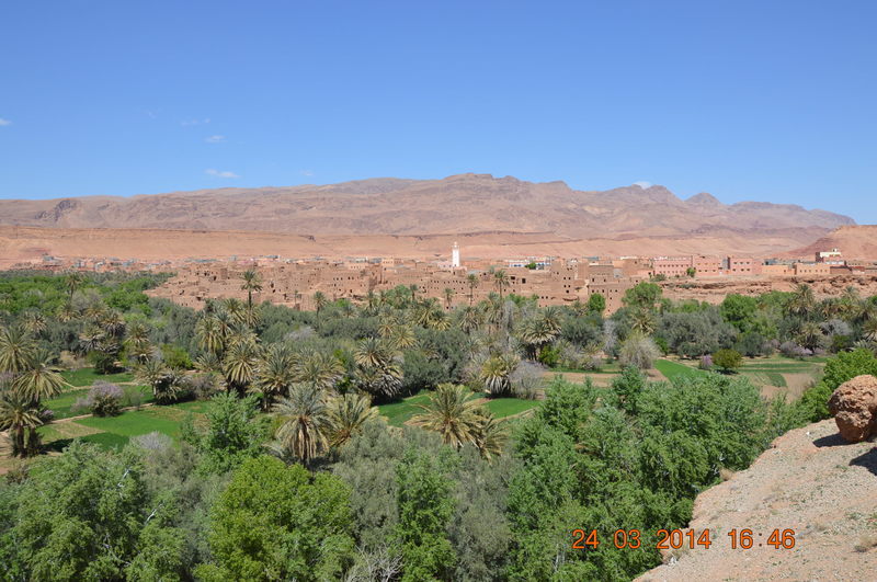 DSC_0528.JPG