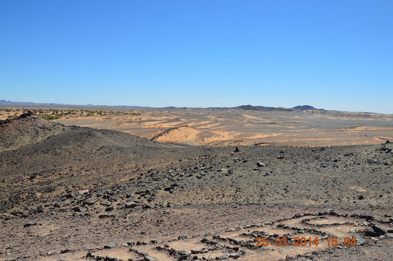 DSC_0636.JPG