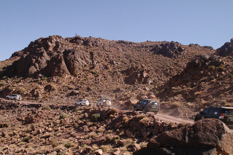 DSC_0705.JPG