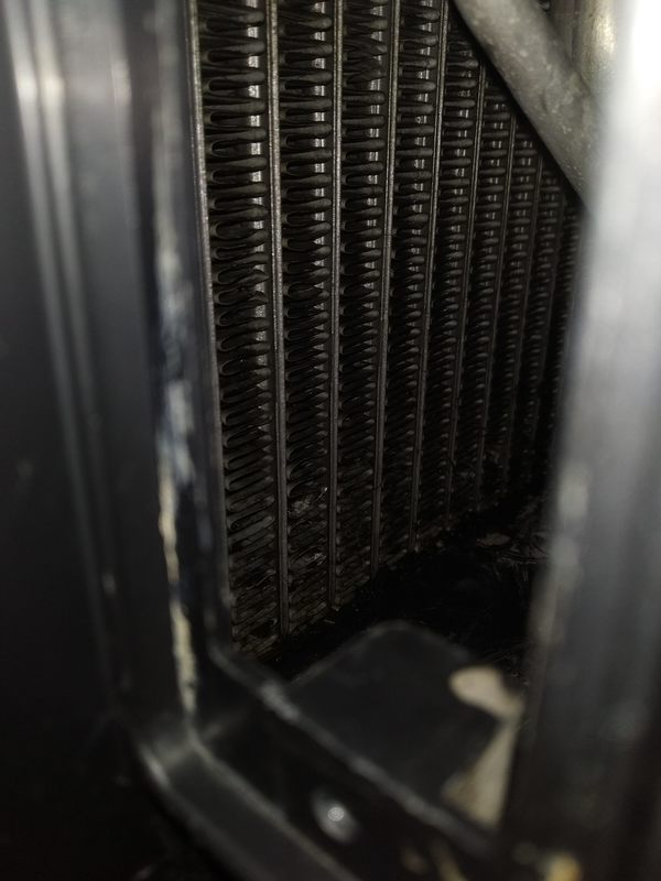 IMG_20190727_142022.thumb.jpg.0808c4d17ffb759dda2eaf49dc1807b4.jpg