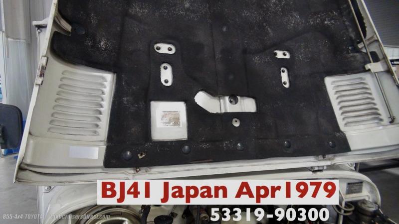 02EE8A8B-56C3-483E-B10B-77144C4C046A.thumb.jpeg.fced749f23a9664a09c7764dee4a6373.jpeg