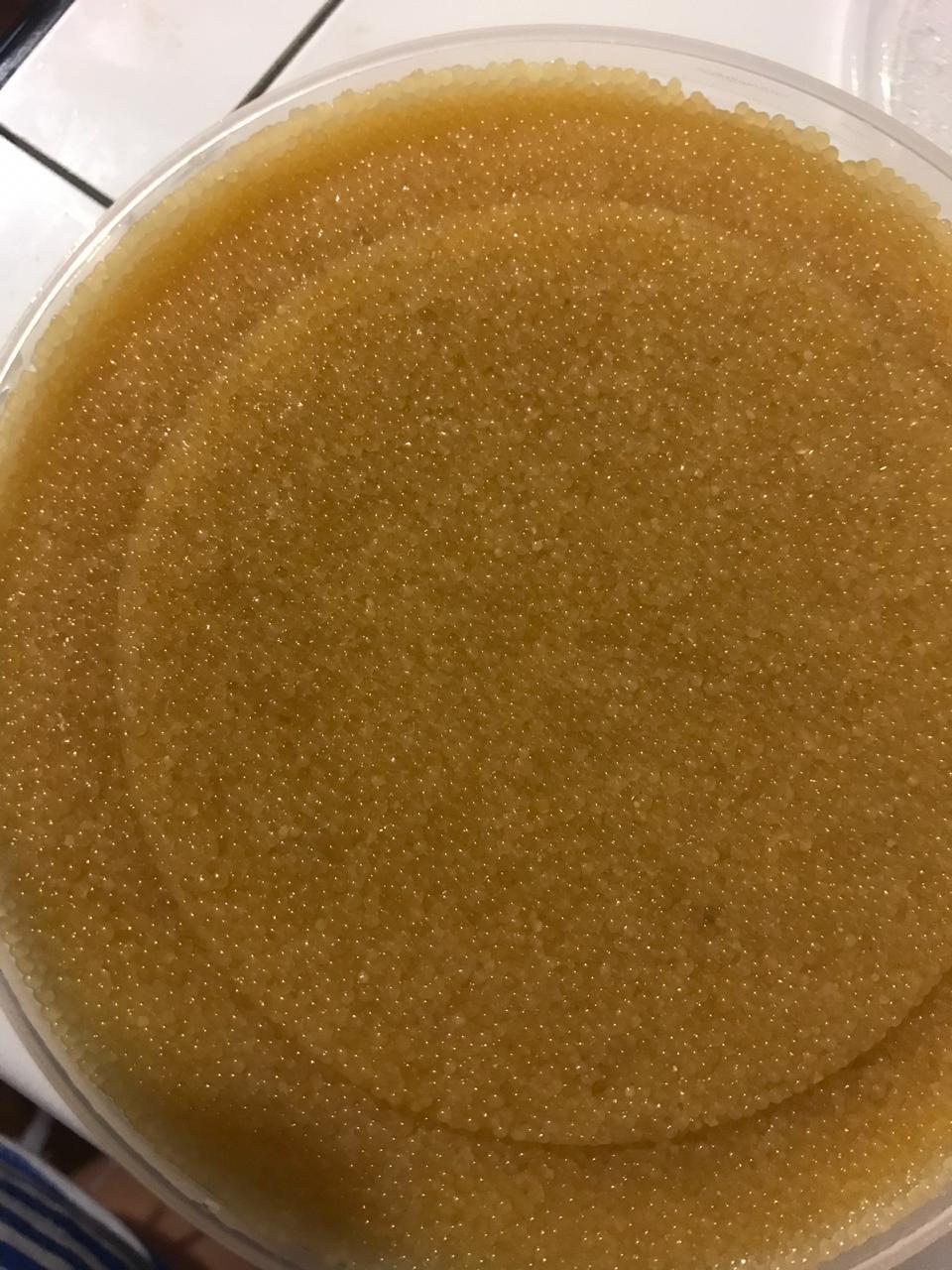 Икра щуки картинки