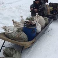 Михаил Шагабиев