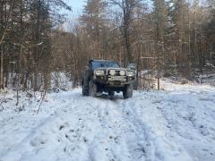 Осень в тайге