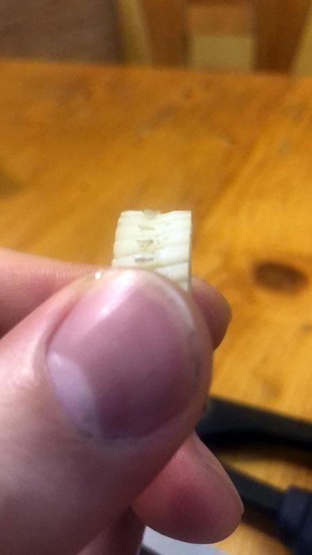 2021-01-09 15-58-56 (1).JPG