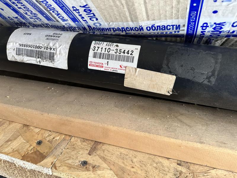 IMG_4151.jpeg