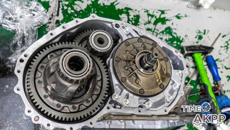 _DSC4602.thumb.jpg.b54cd4a43e4f94df486922844d21abf7.jpg