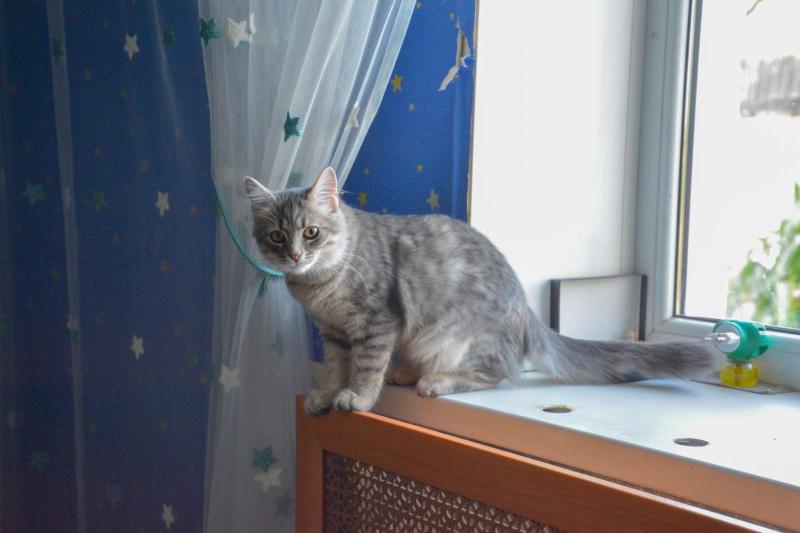 изображение_viber_2024-09-02_10-59-49-324.jpg