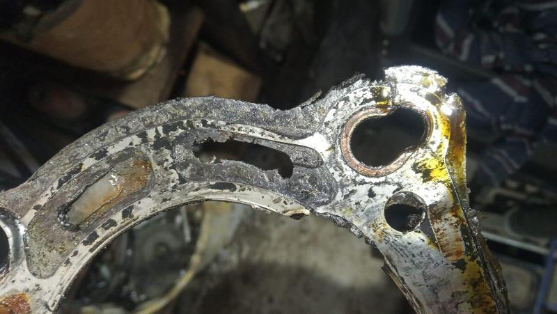 WhatsApp Image 2025-03-17 at 14.31.49 (2).jpeg