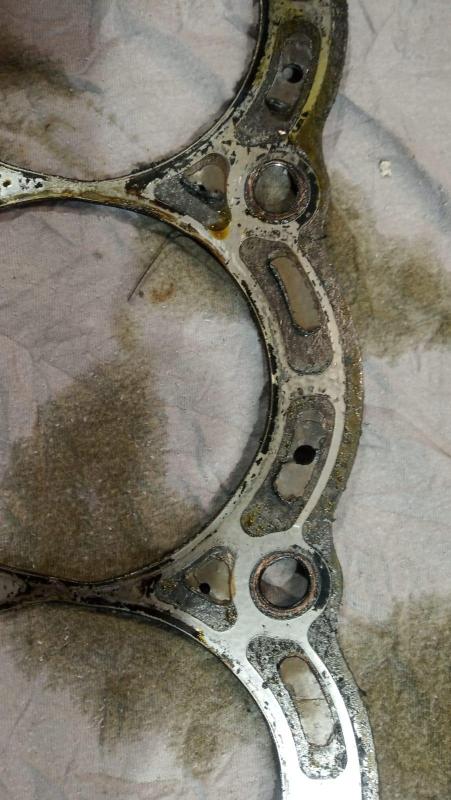 WhatsApp Image 2025-03-17 at 14.31.49.jpeg