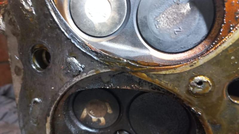 WhatsApp Image 2025-03-13 at 19.09.00.jpeg