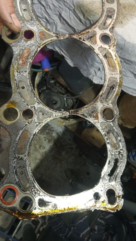 WhatsApp Image 2025-03-17 at 14.31.49 (1).jpeg