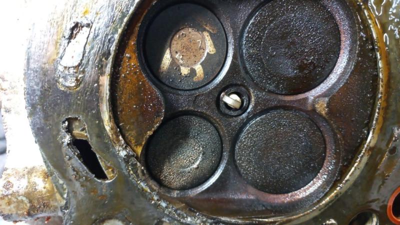 WhatsApp Image 2025-03-13 at 19.15.09.jpeg