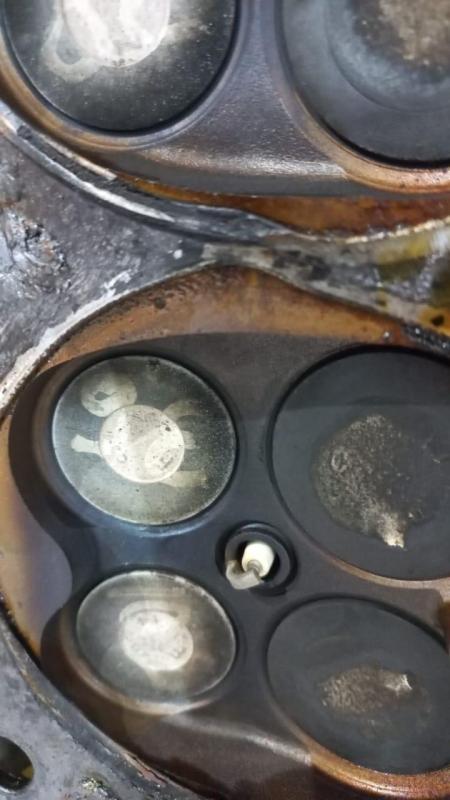 WhatsApp Image 2025-03-13 at 19.08.59.jpeg