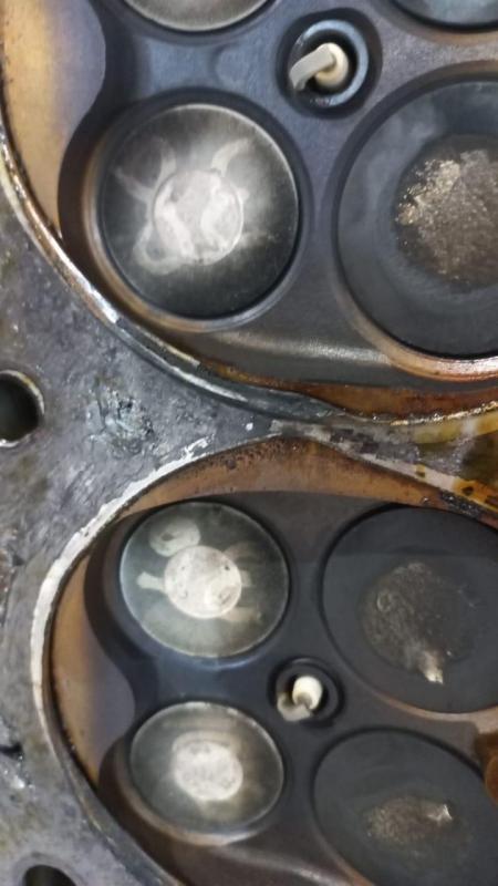 WhatsApp Image 2025-03-13 at 19.08.58 (1).jpeg