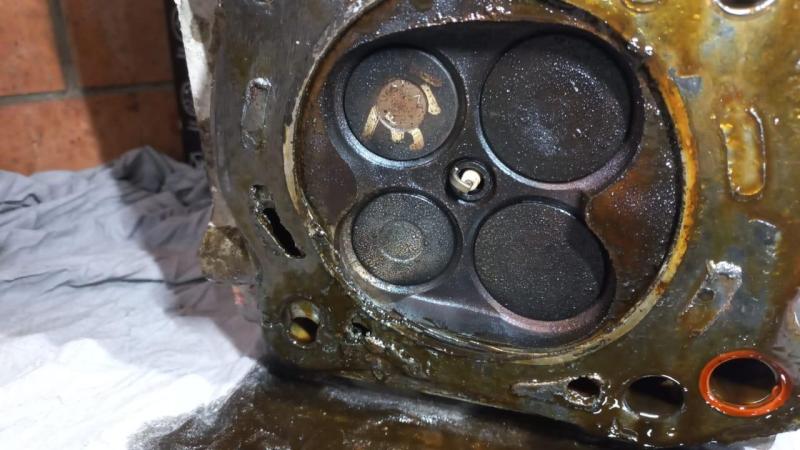 WhatsApp Image 2025-03-13 at 19.08.59 (2).jpeg