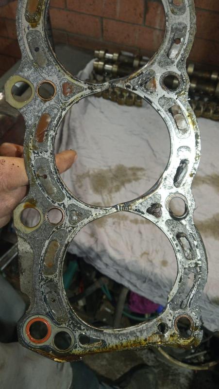 WhatsApp Image 2025-03-17 at 14.31.51.jpeg