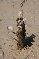 IMG_1711 (2)_resize.jpg