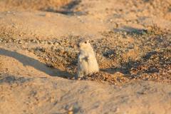 IMG_1223_resize.jpg
