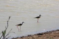 IMG_1409_resize.jpg