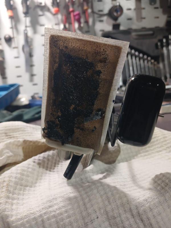 Изображение WhatsApp 2025-05-05 в 10.41.04_1f64fc28.jpg