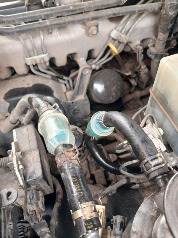 Изображение WhatsApp 2025-05-05 в 10.41.06_4f9b6673.jpg