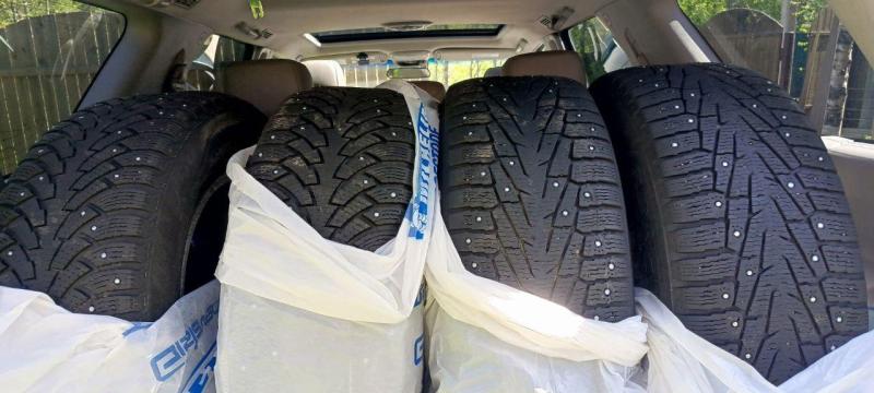 шиповка 2.jpg