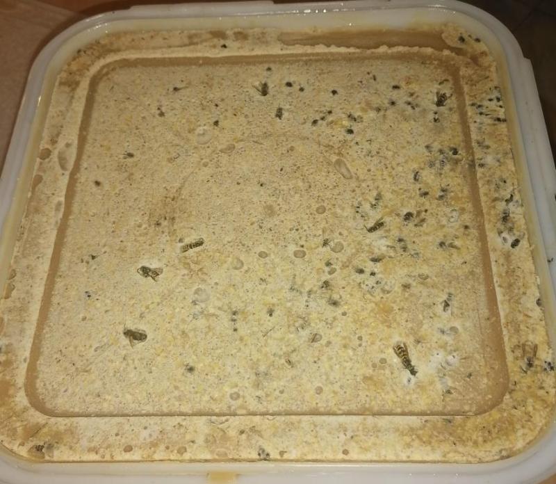 Мёд АлСан горный Алтай (1) - копия.jpg