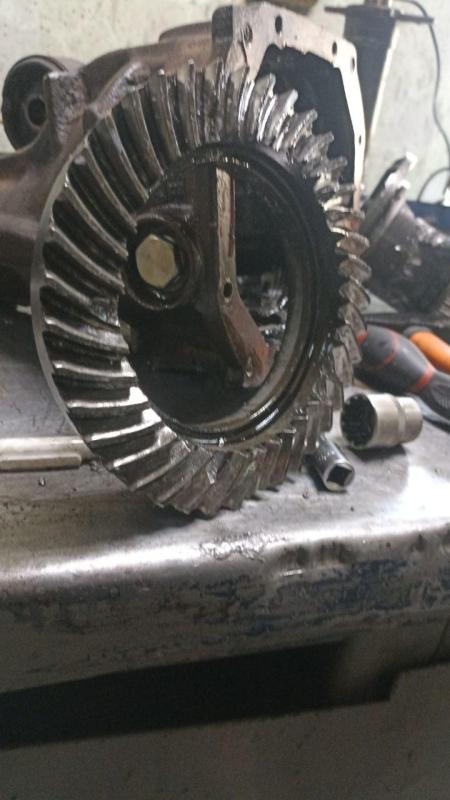 photo_2025-10-02_10-02-34 (7).jpg