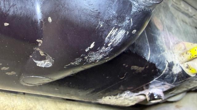 IMG_1305.jpeg.477c71a907aa3493e8b8e0660413cb91.jpeg